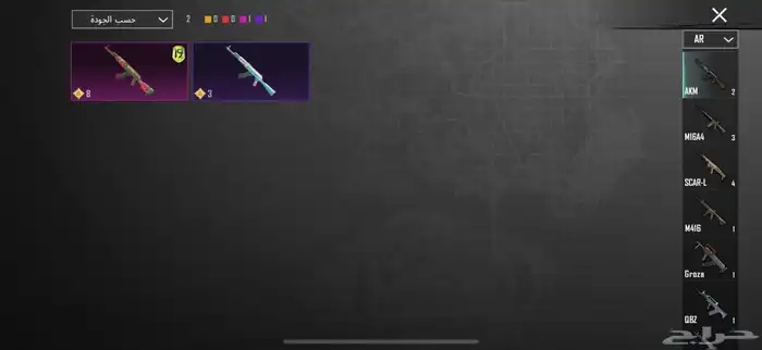 ببجي 6