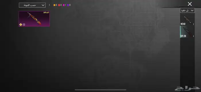 ببجي 17