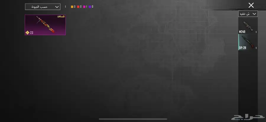 ببجي 17