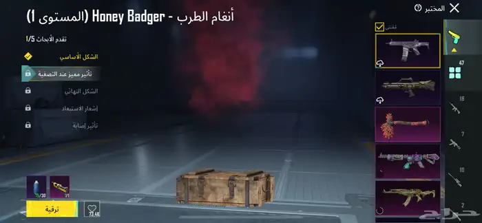 حساب ببجي 8 اسلحه ماكس وواحد لفل 6 11