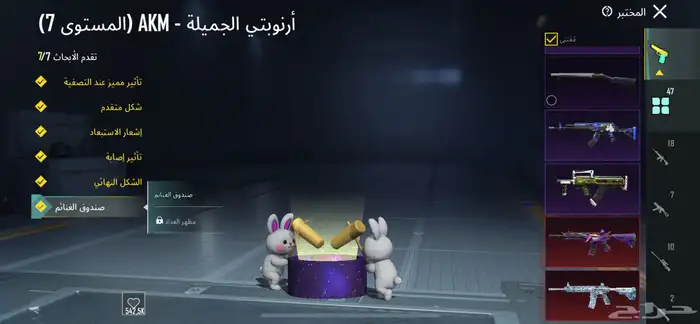 حساب ببجي 8 اسلحه ماكس وواحد لفل 6 19
