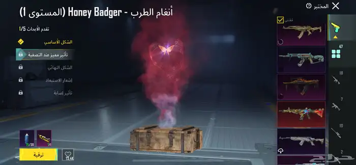حساب ببجي 8 اسلحه ماكس وواحد لفل 6 12