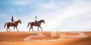 ركوب خيول ركوب حر 1