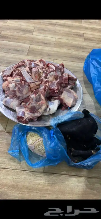 برابر ورفيدي جذع وثني 7