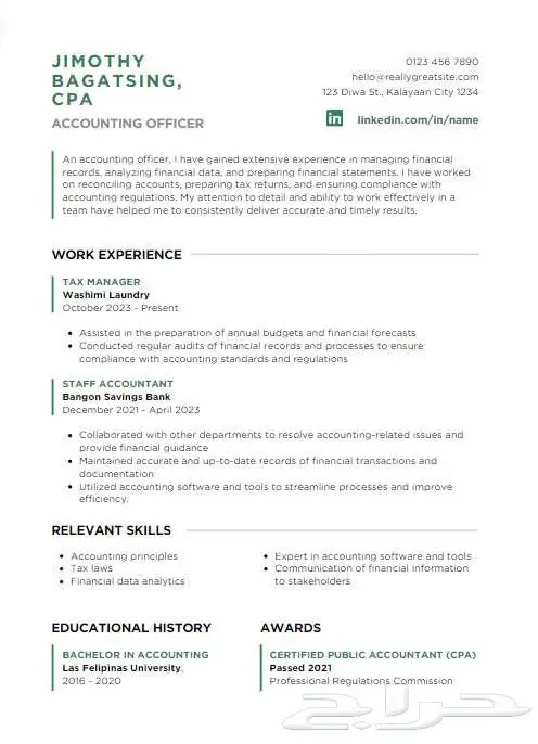 تصميم سيره ذاتيه احترافيه بسعر رمزي CV 1