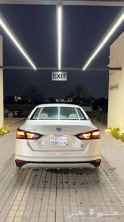التيما 2019 5
