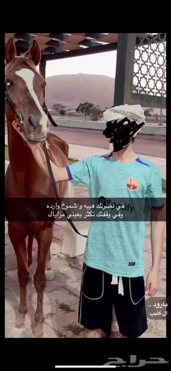 سلام عليكم حصان شعبي كفو للبيع 2
