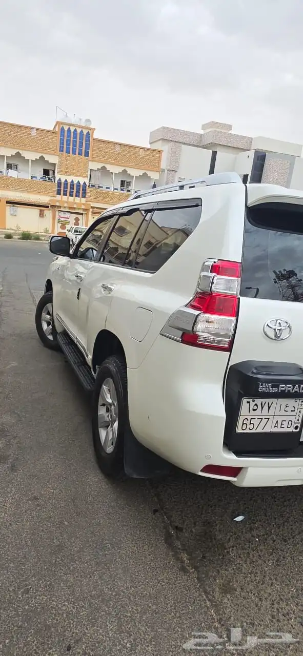 برادو 7