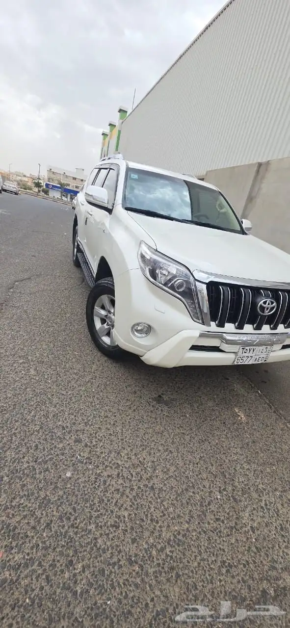 برادو 0