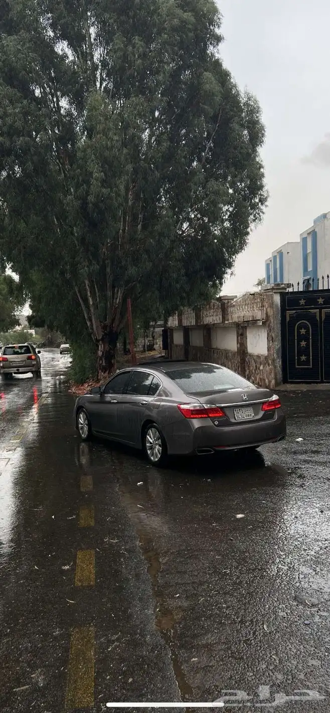 كداد من المدينه الى تبوك 0
