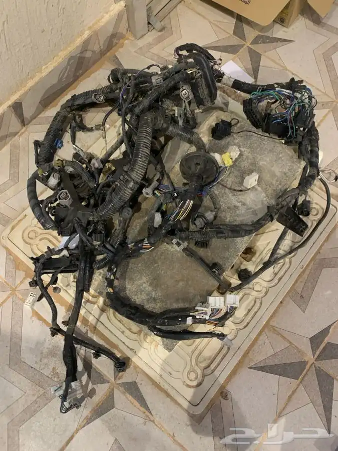 ظفيرة يارس 2022 0