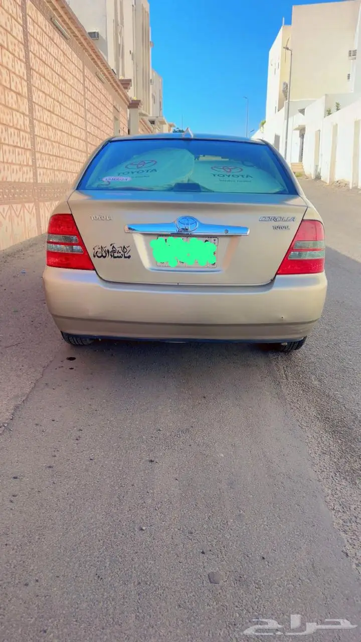 الطائف 3