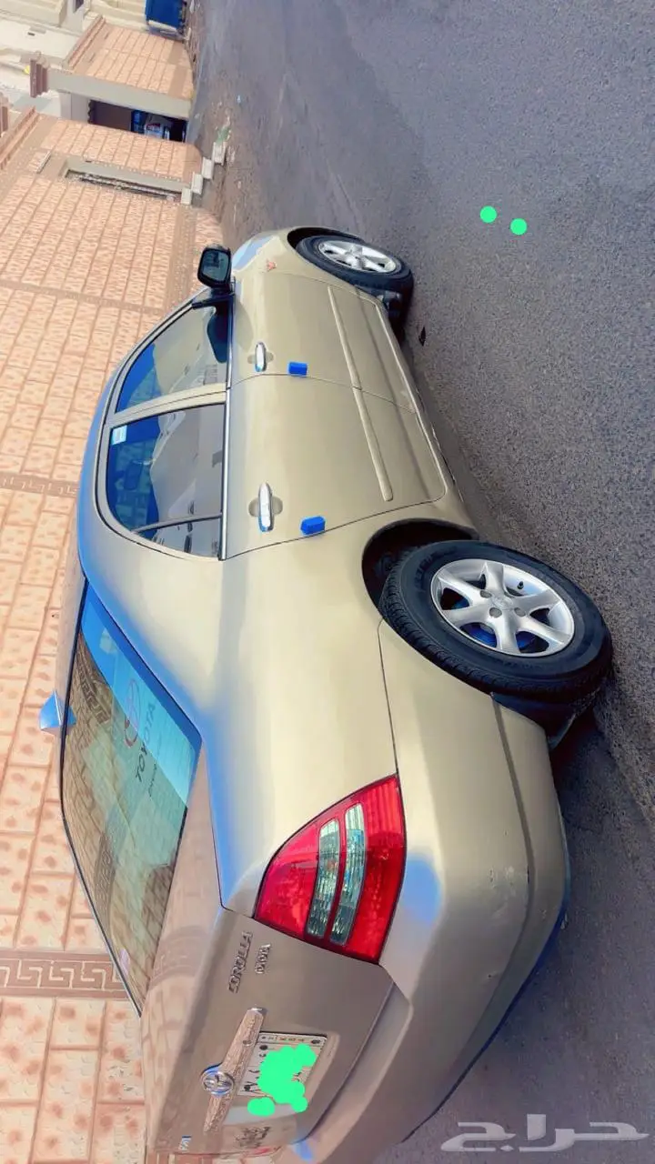الطائف 4