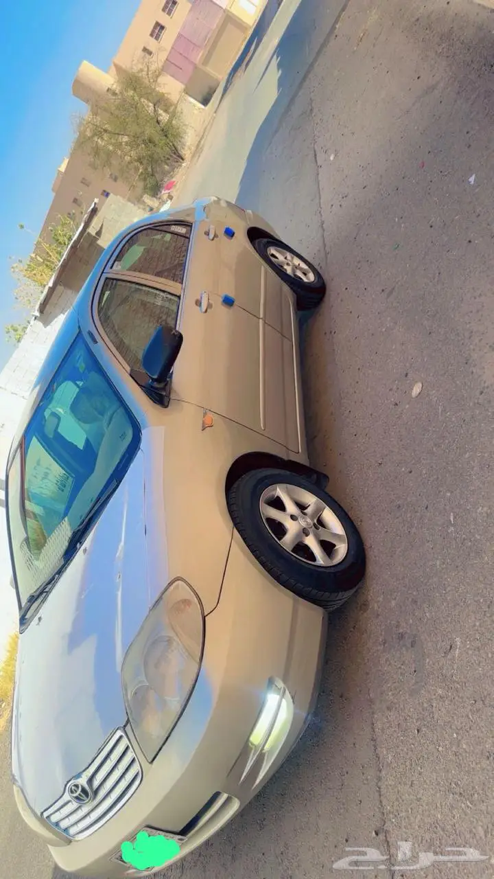 الطائف 1