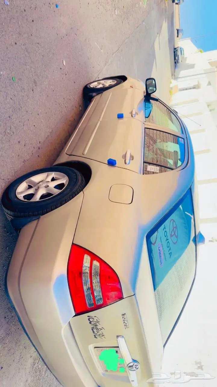 الطائف 5