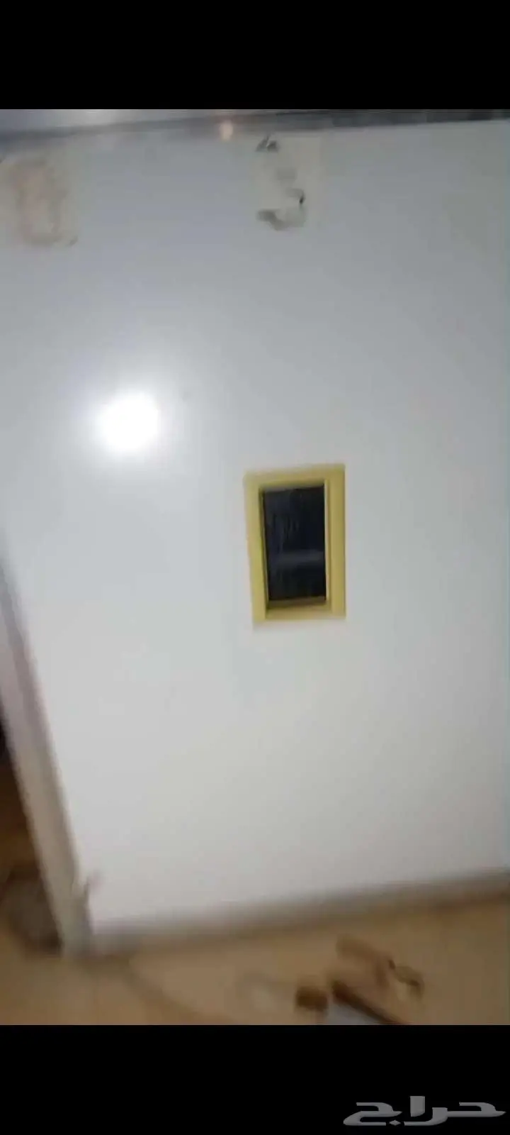 فقاسة لمعة البحر 0