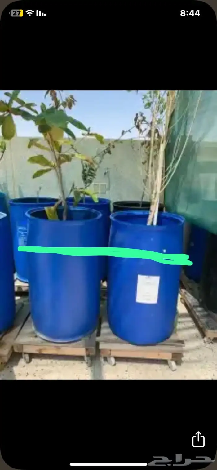 براميل البيع 11