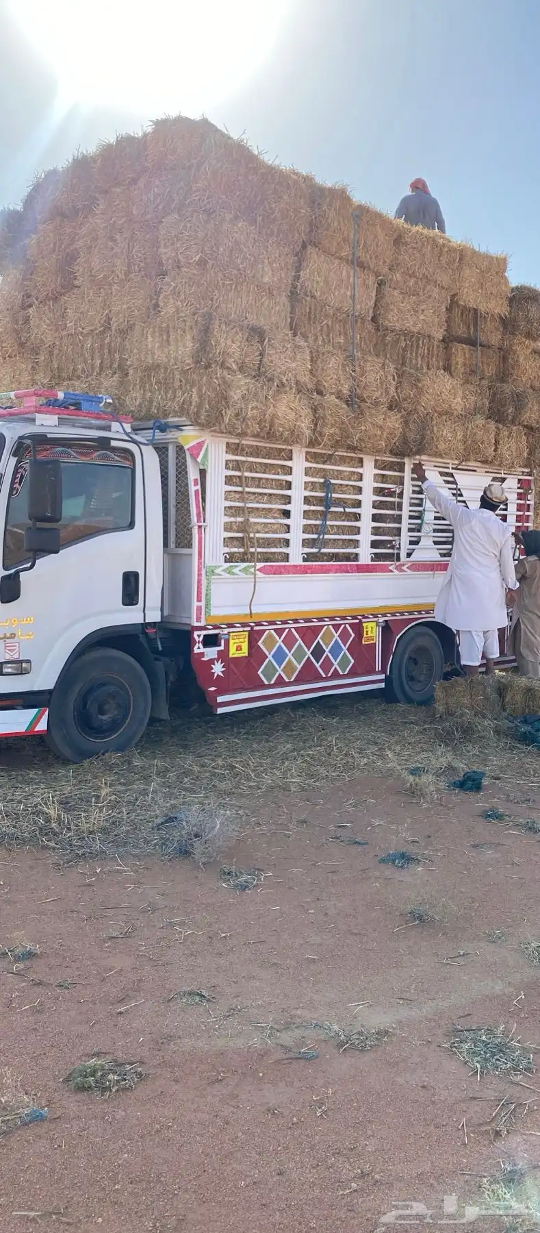 اعلاف للبيع تبن 3