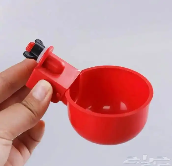 سقايات ومشربيات طيور 0