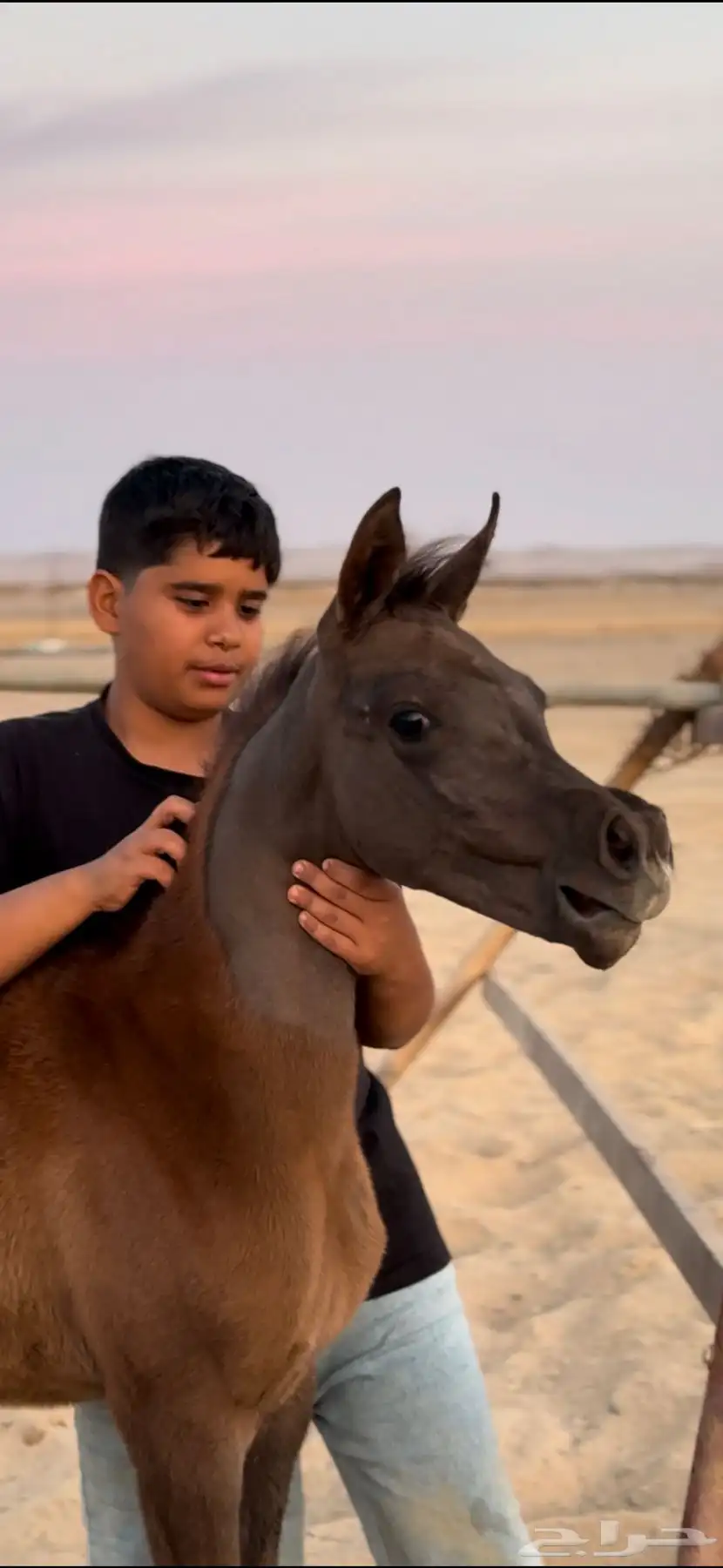 مهره واهو 2