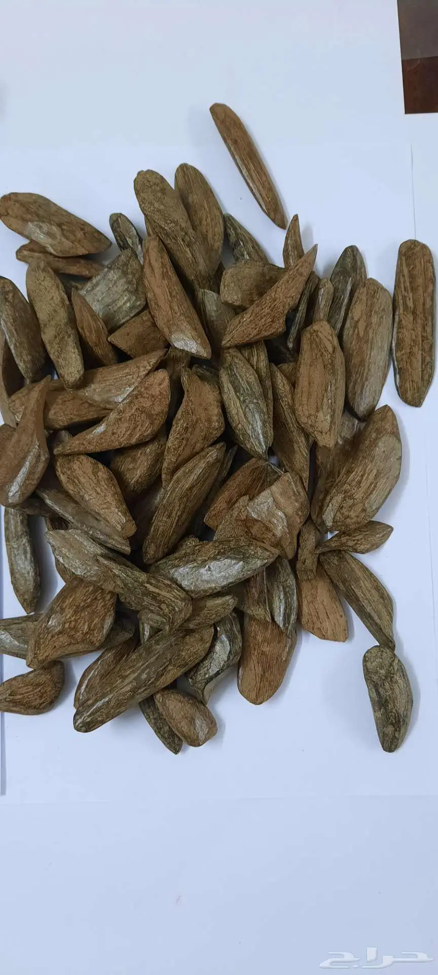باقة الجمعة 0
