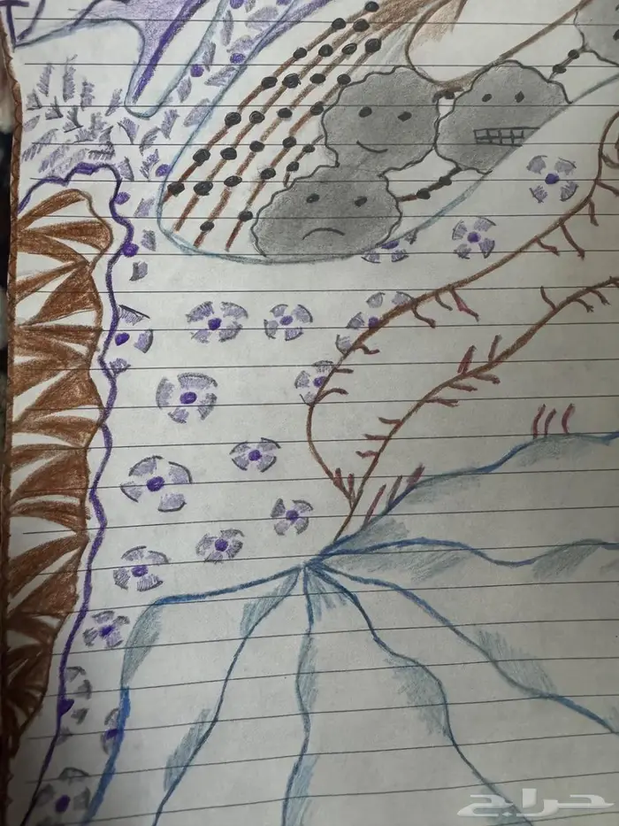 رسمة الهواجيس عالسوم 2