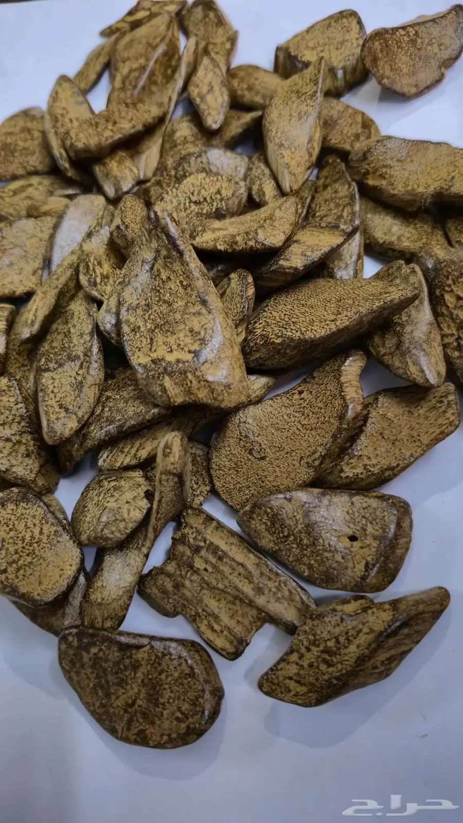 باقة الجمعة 1