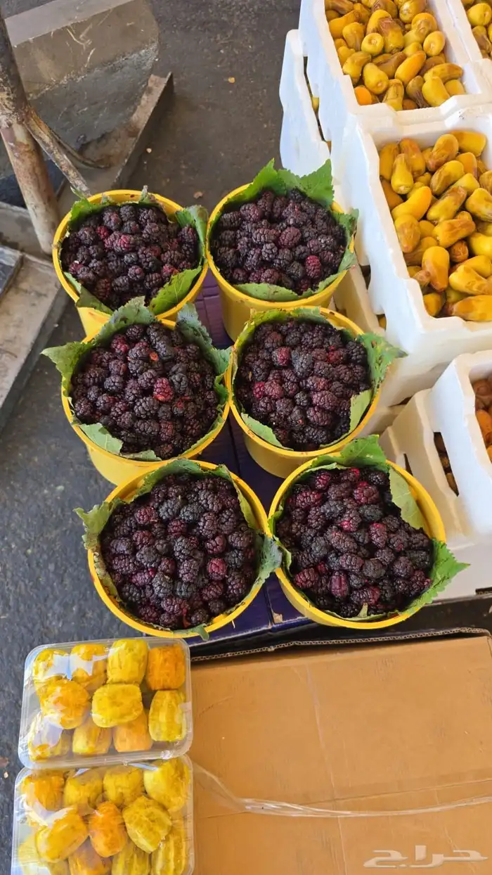 برشومي وحماط وفواكه الطايف الطازجة 8