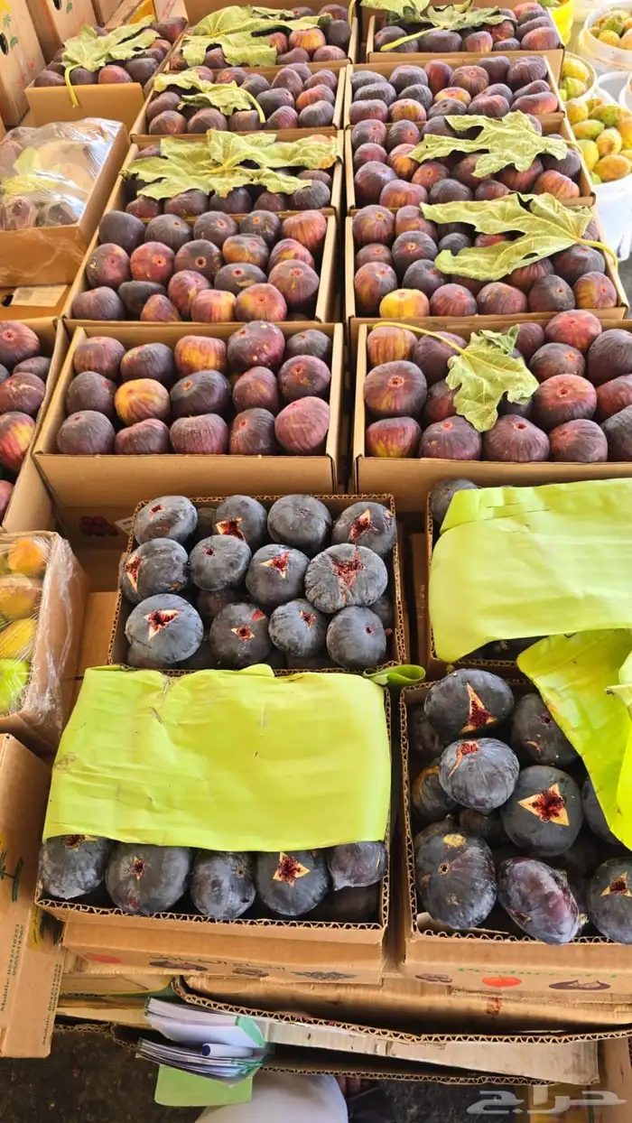 برشومي وحماط وفواكه الطايف الطازجة 2