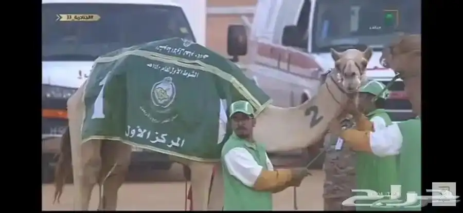 فحل شاهين برصيده سياره الجنادريه من 19 كيلو 2