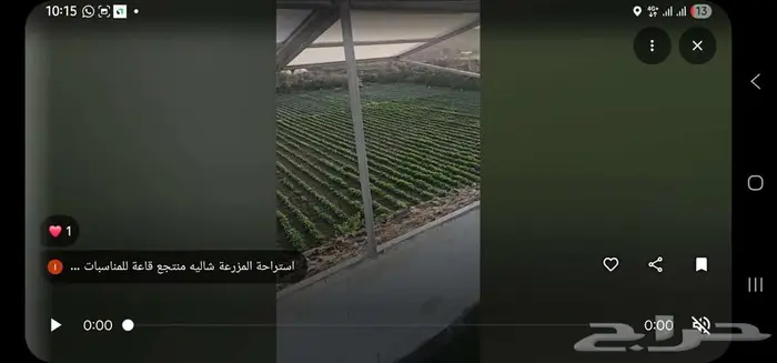 عرض اليوم الوطني استراحة و شالية ومنتجع المزرعة الطائف 18