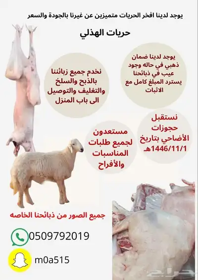 طليان حريه 0