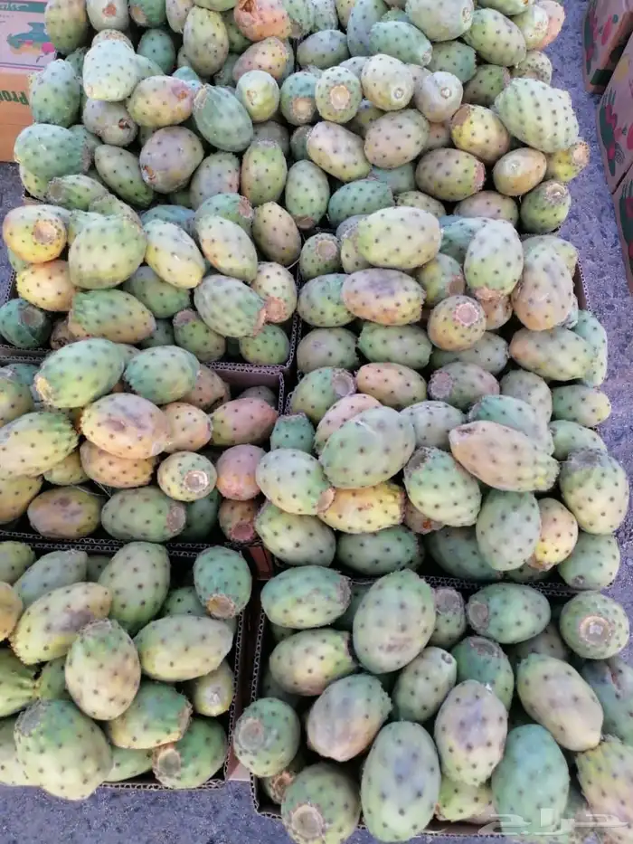 برشومي وحماط وفواكه الطايف الطازجة 5