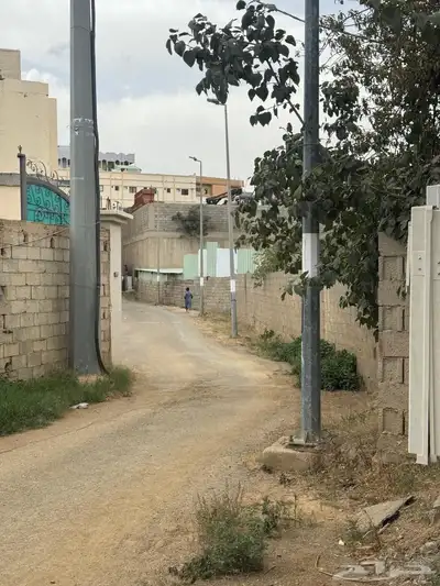 دور للايجار للشركات والمؤسسات في بني فروه 4