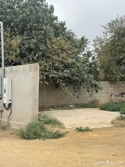 دور للايجار للشركات والمؤسسات في بني فروه 2