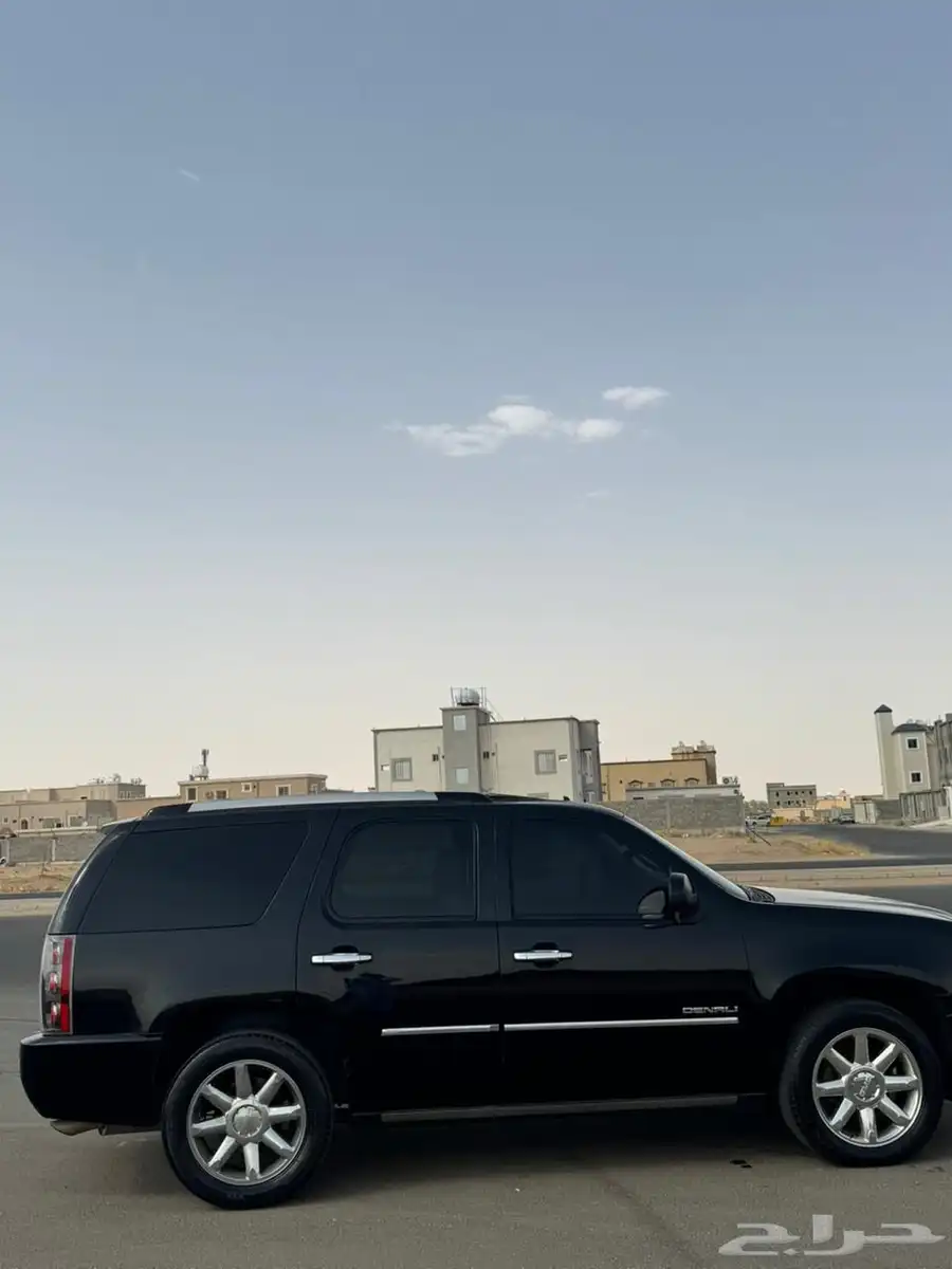 جمس دينالي 2013 11