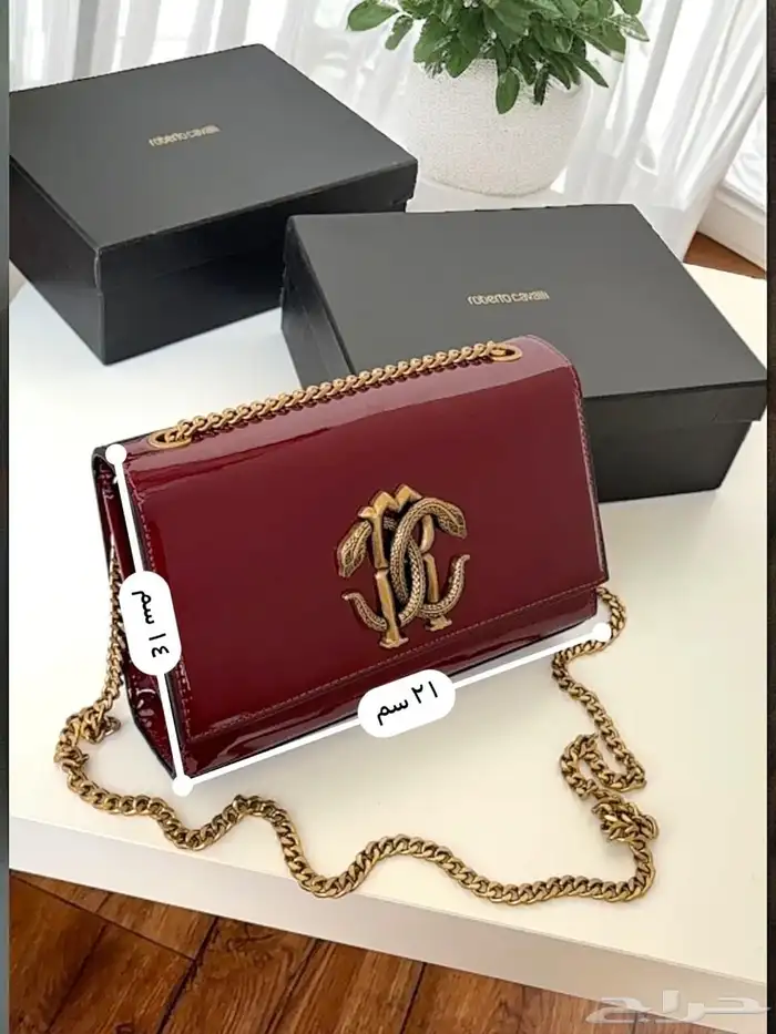 شنط هرمز شانيل دي جي سان لوران جي دبليو 21