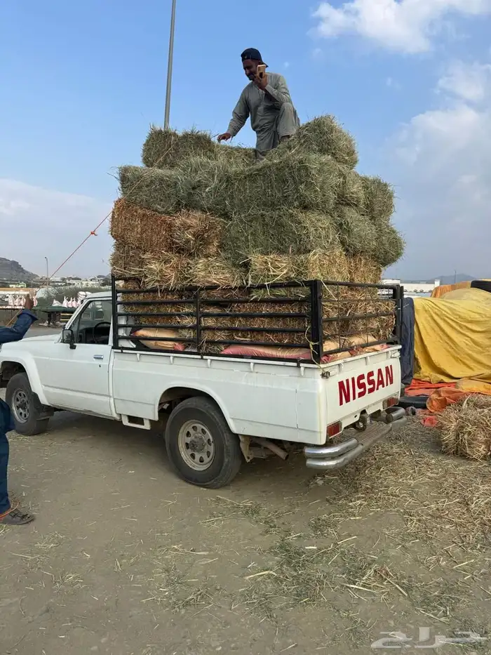 شاص نيسان موديل 99 4