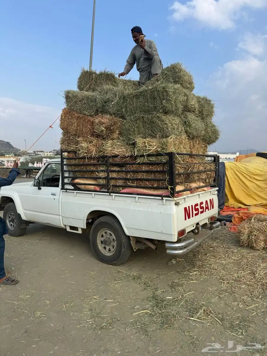 شاص نيسان موديل 99 4