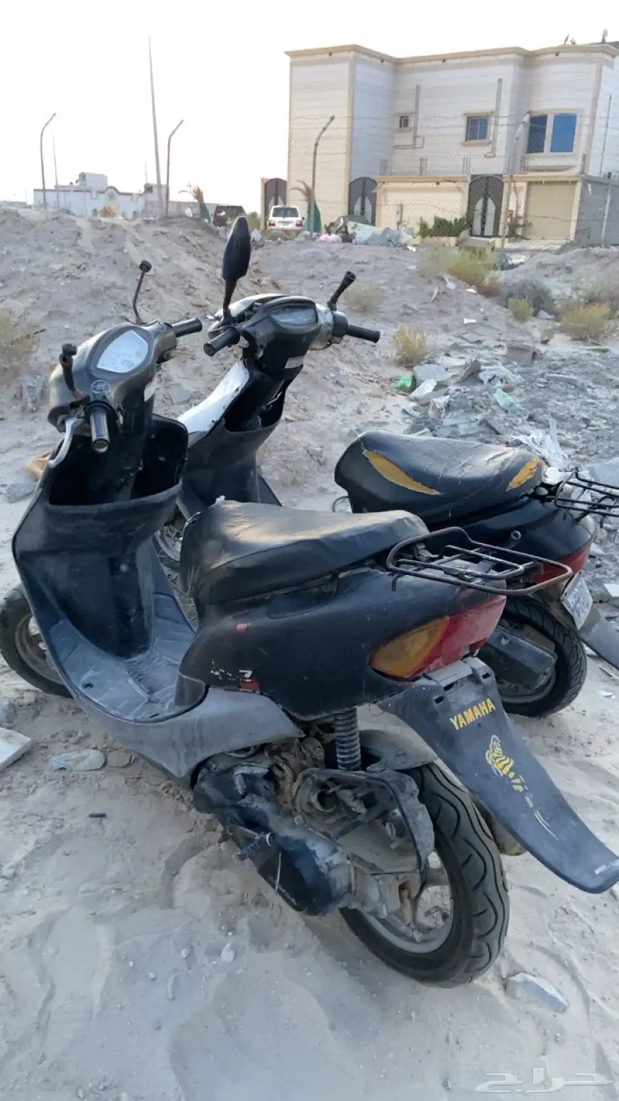 دبابات بطه 6