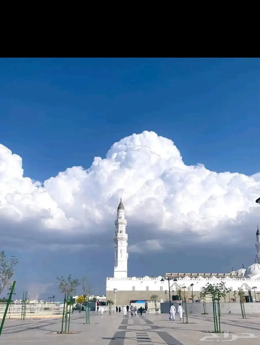 مطلوب شقه غرفتين وحمامين يفضل ملحق النظافه ويفضل دفع شهري 2