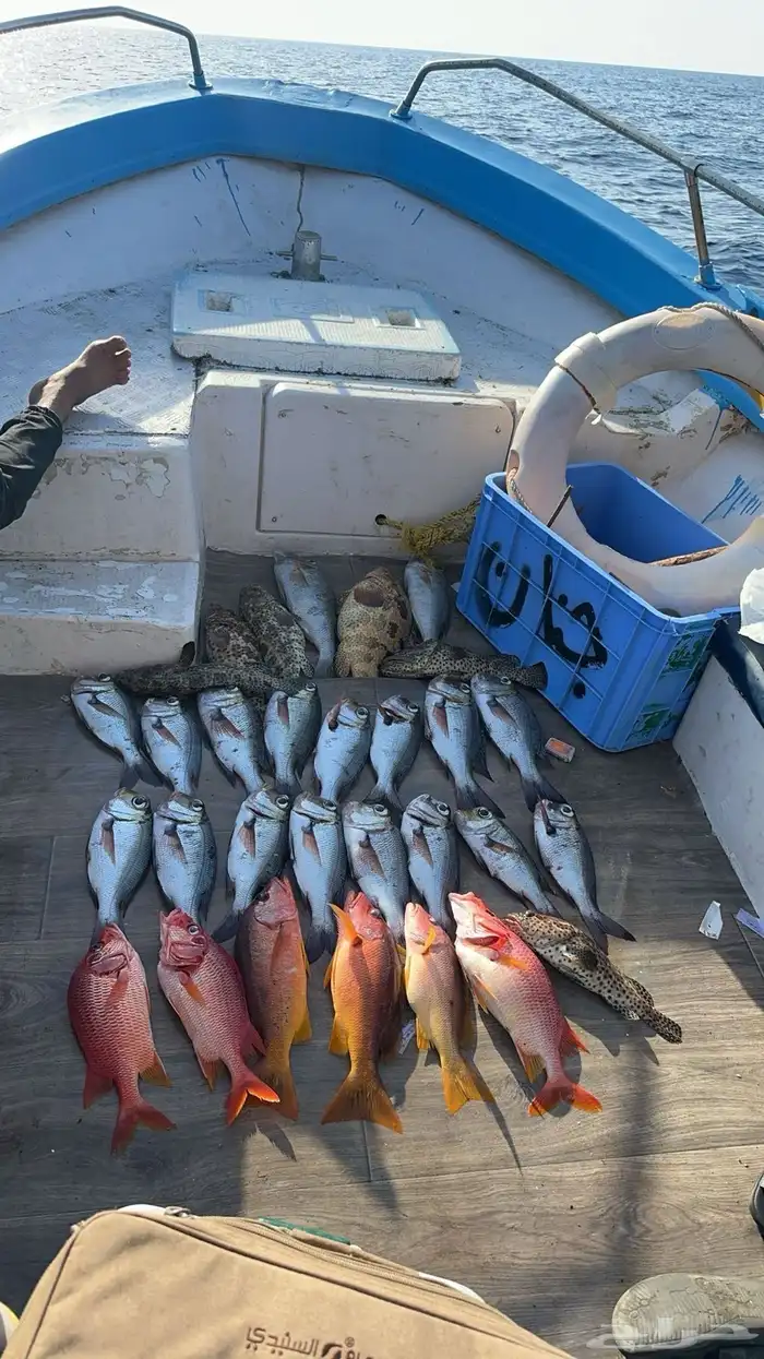 رحلات بحرية الرايس 1