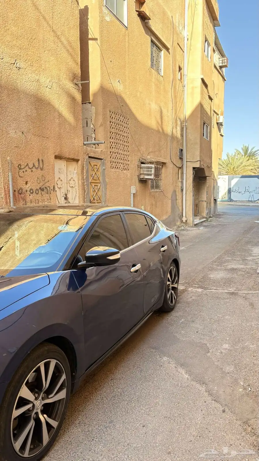 مكسيما SV 1