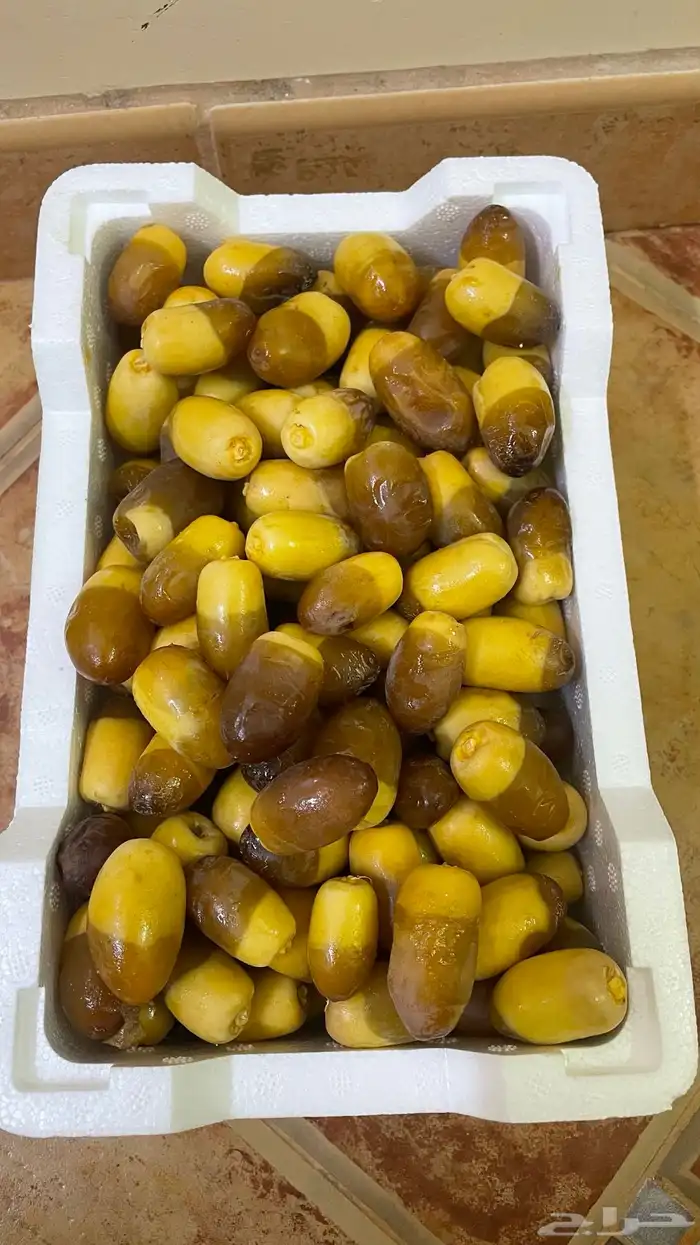 رطب سمنة قدح   رطب برني   ليمون 0
