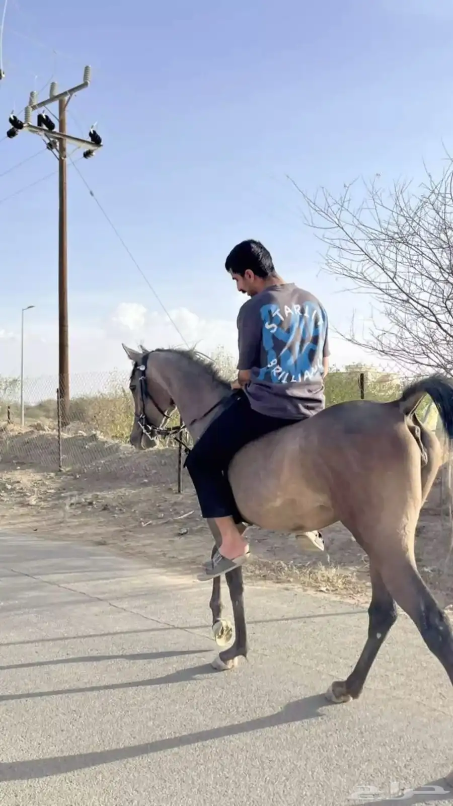 مهره للبيع 1