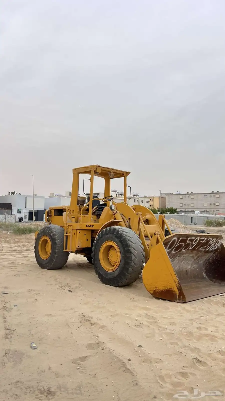 شيول 950 2
