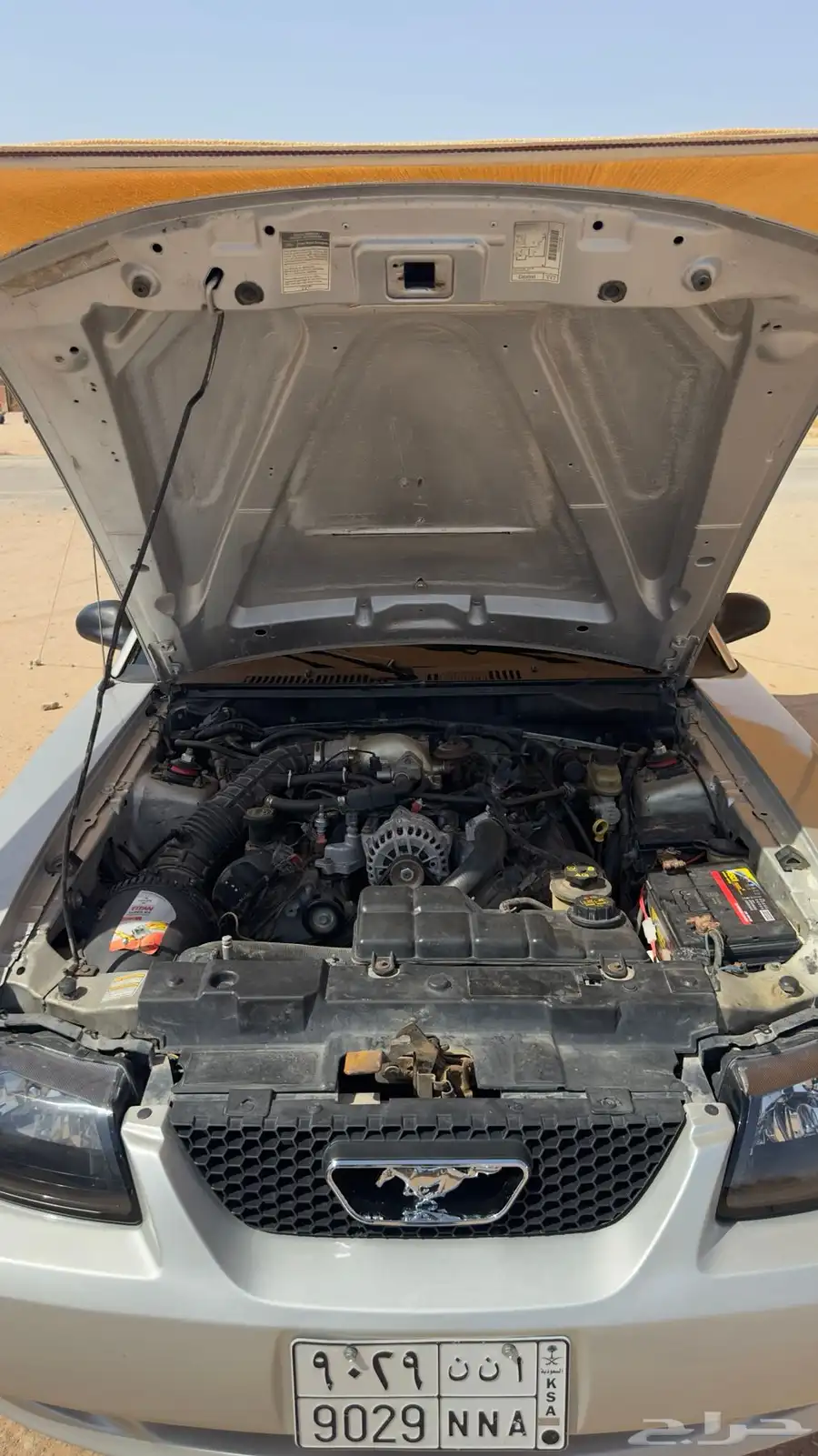 للبيع موستنج موديل V8 2000 قير عادي 5