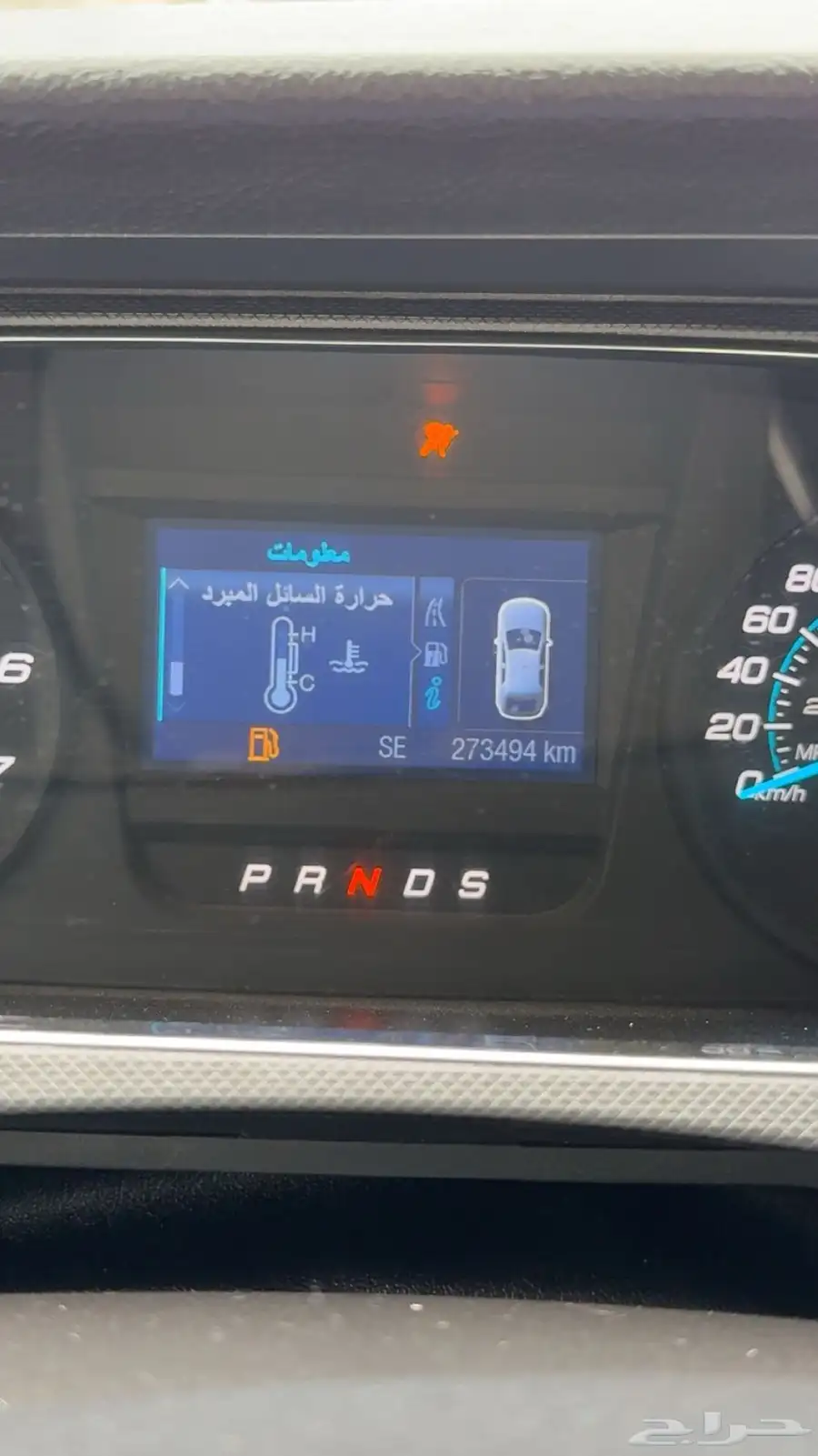 تورس 2017 10