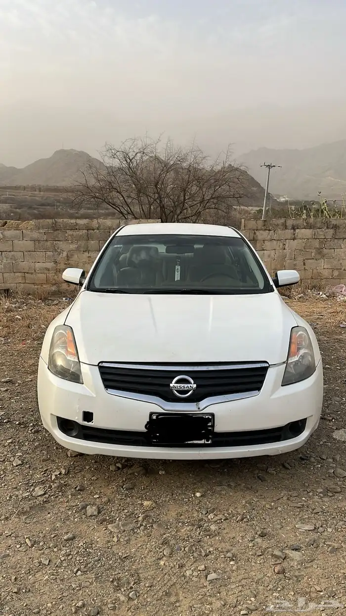 التيما نيسان ابيض 0
