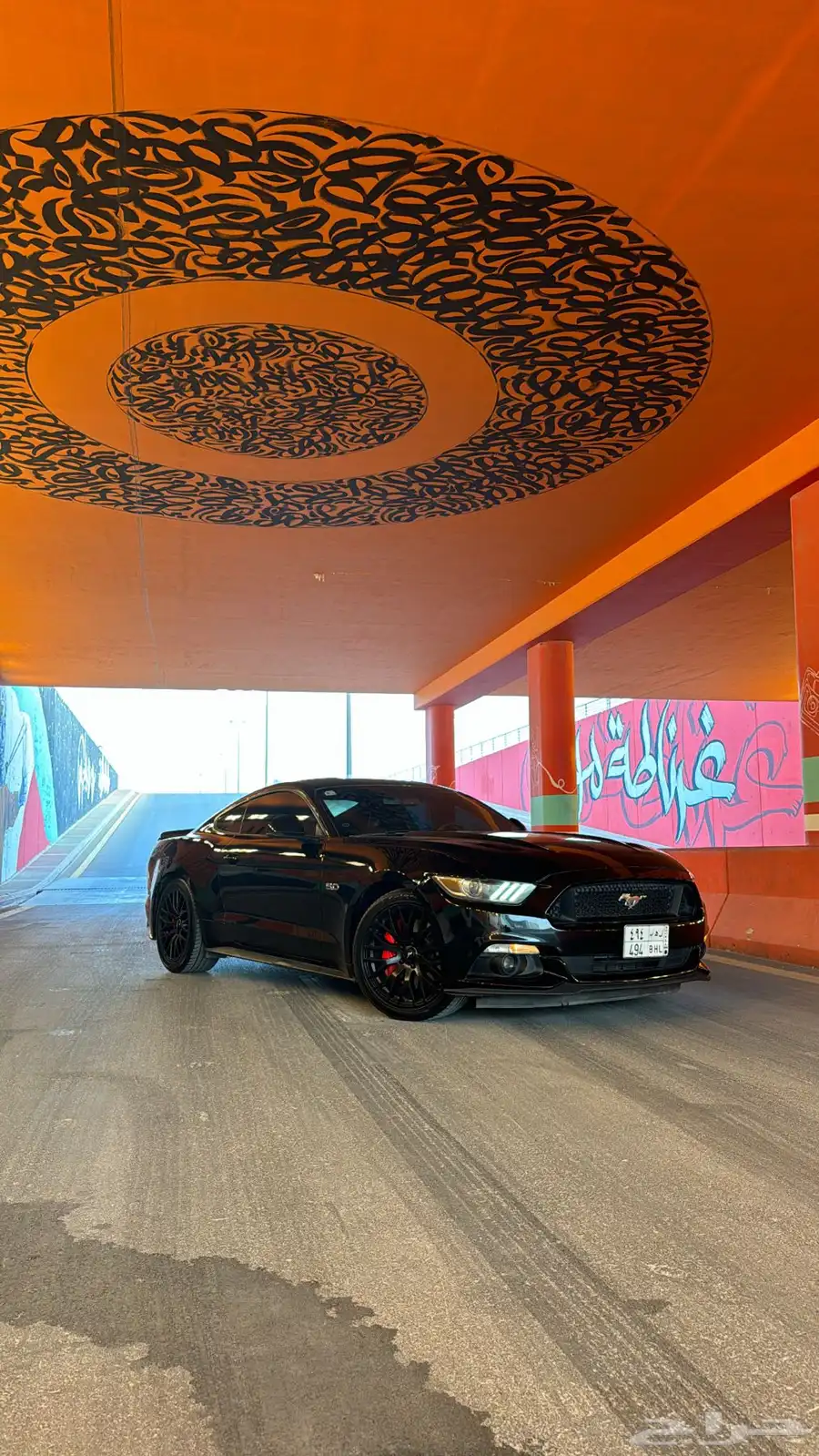 موستنق 2015 GT 50 Years 6